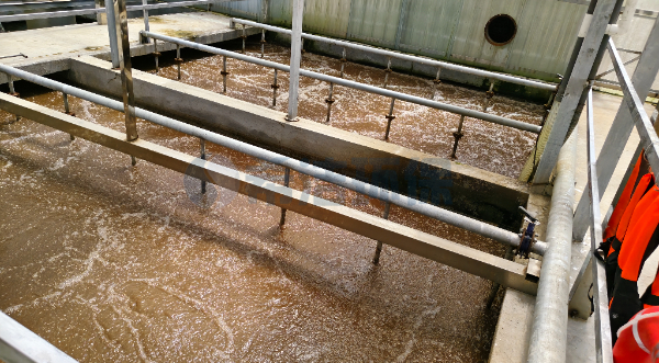 <i style='color:red'>污水处理氨氮超标</i>有什么解决方法（图）