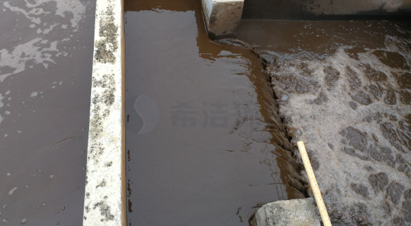 重金属离子去除方法