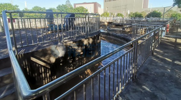 氨氮超标处理