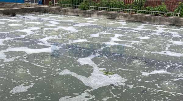 水含重金属怎么去除