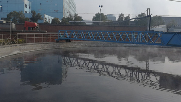 化粪池<i style='color:red'>污水氨氮超标处理方法</i>(图)