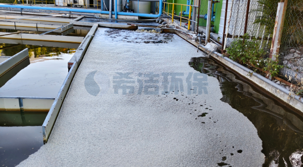 生活污水总磷超标怎么处理