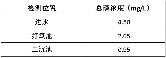 总磷不同点的检测浓度