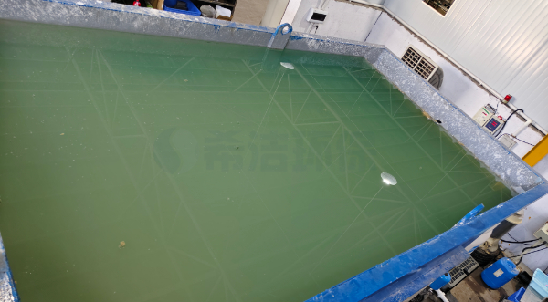 污水中的总磷如何去除