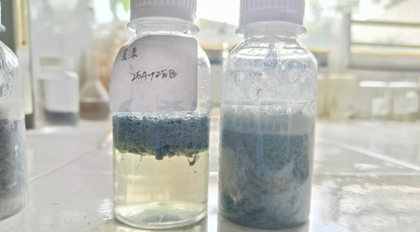 漆雾凝聚剂
