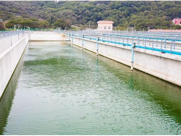 某污水处理厂除cod案例