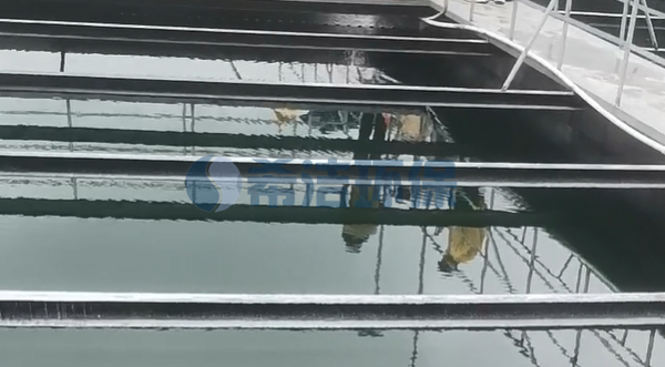 氨氮快速去除剂解决生活污水氨氮超标的问题（图）
