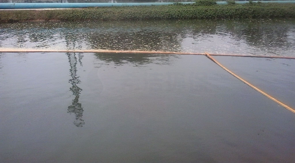 氨氮超标处理方法