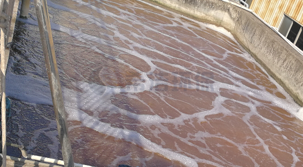 污水中氨氮高怎么办