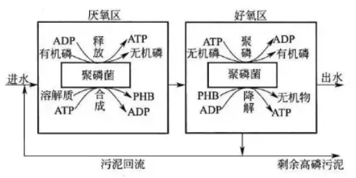 厌氧和好氧的作用机理