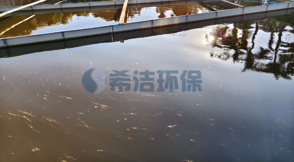 污水液体除磷剂