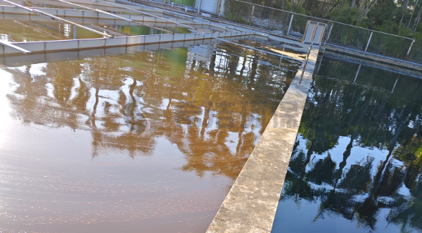 污水脱色核心：<i style='color:red'>脱色剂脱色原理</i>及企业实操案例（图）