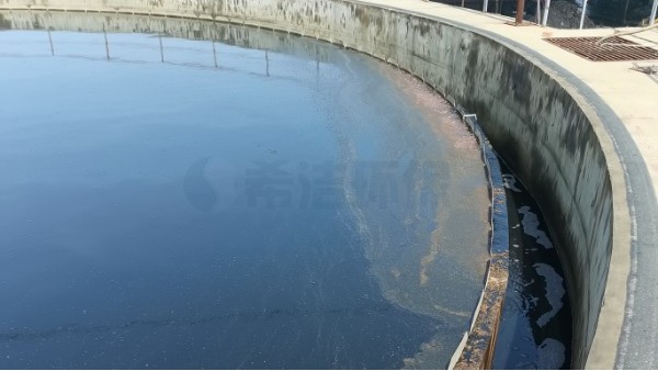 氨氮去除剂