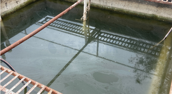 如何快速处理氨氮