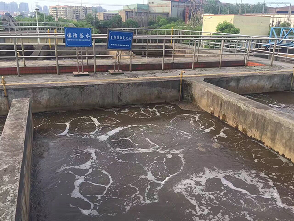 贵州某白酒厂污水氨氮案例